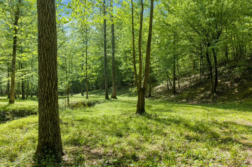 694 Lick Creek Boat Dock Loop Parsons, TN 38363