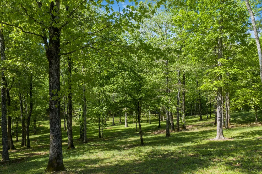 694 Lick Creek Boat Dock Loop Parsons, TN 38363