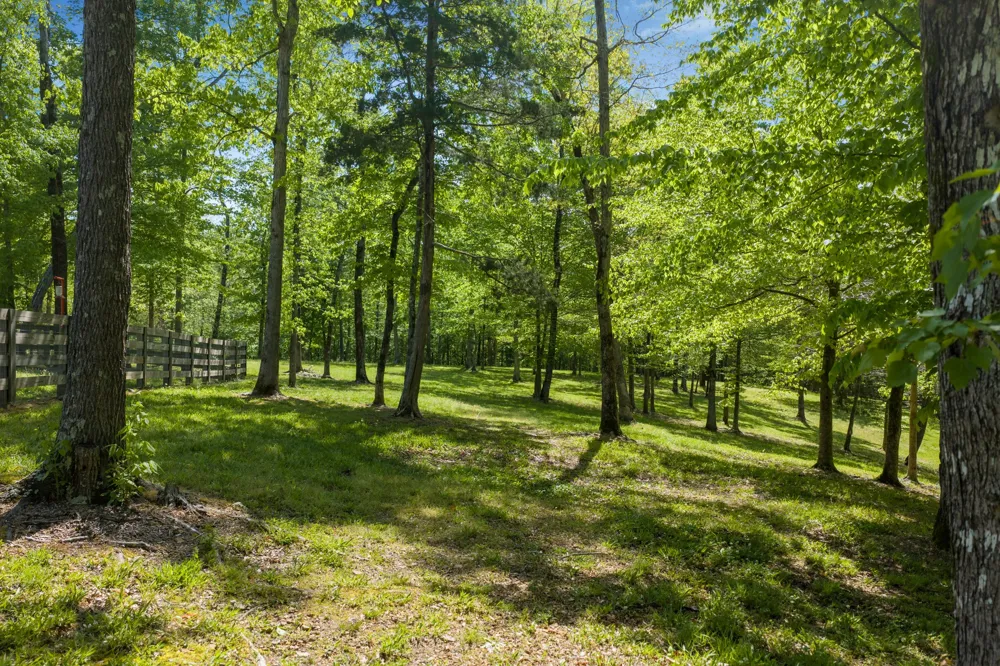 694 Lick Creek Boat Dock Loop Parsons, TN 38363