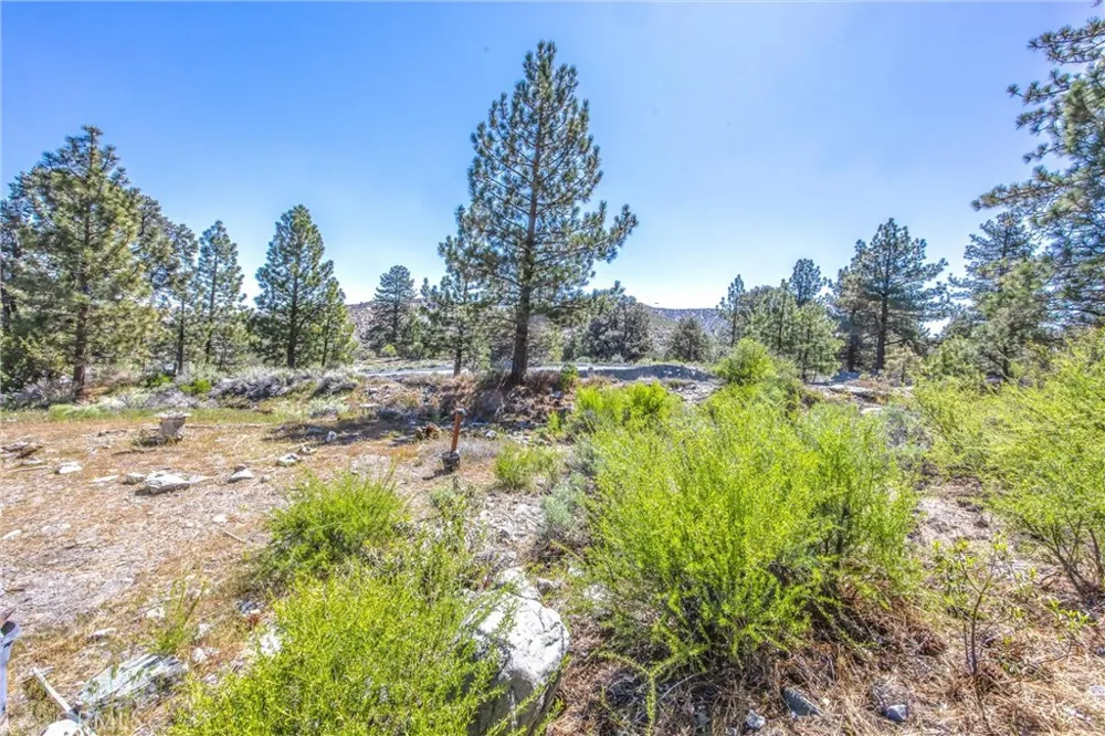 2164 Outer Hwy 2 Highway S Wrightwood, CA 92397