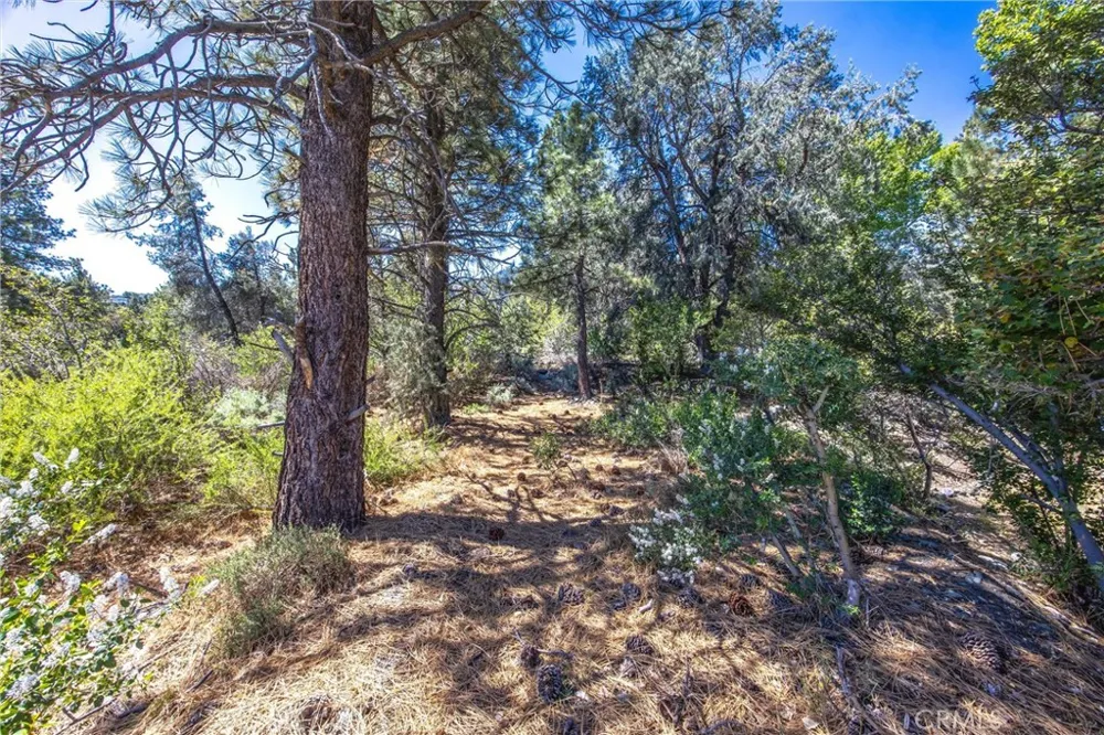 2164 Outer Hwy 2 Highway S Wrightwood, CA 92397