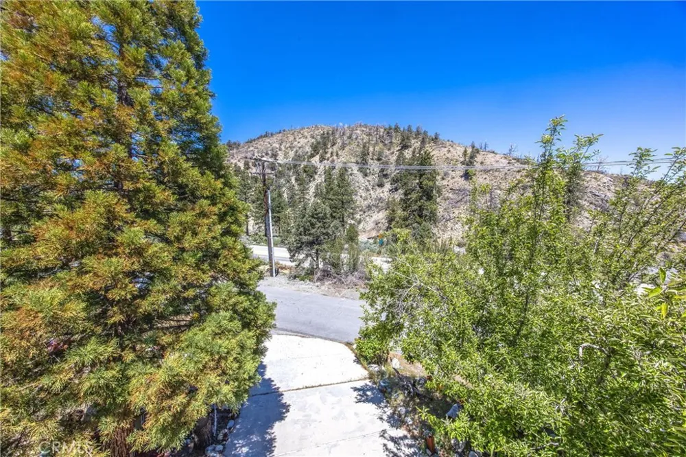 2164 Outer Hwy 2 Highway S Wrightwood, CA 92397