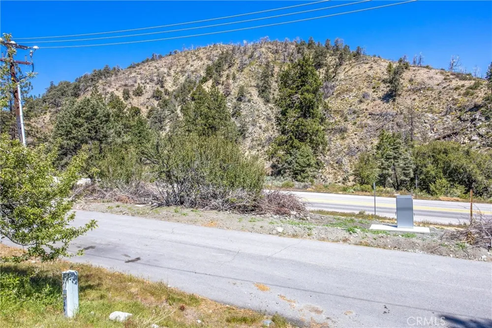 2164 Outer Hwy 2 Highway S Wrightwood, CA 92397
