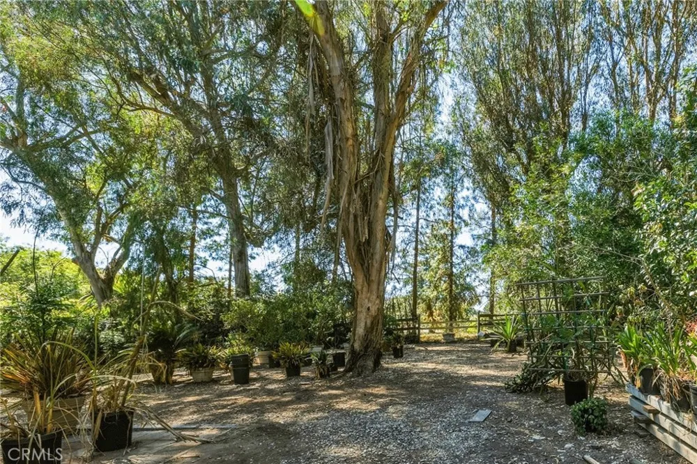 14 Johns Canyon Road Rolling Hills, CA 90274