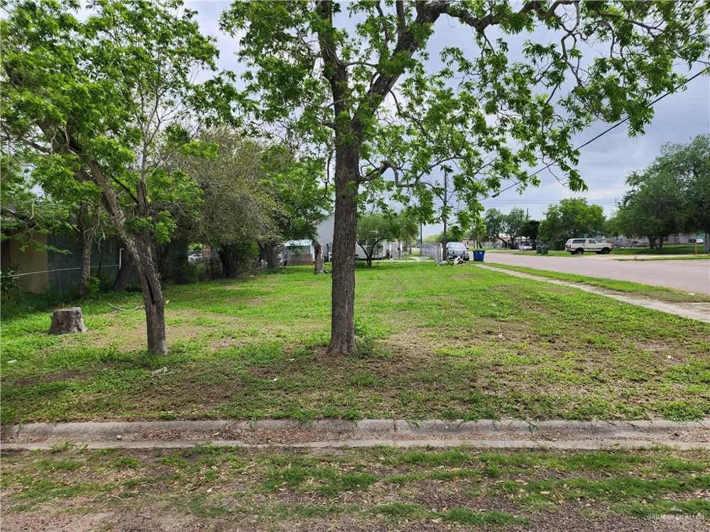 1054 1st Street Raymondville, TX 78580