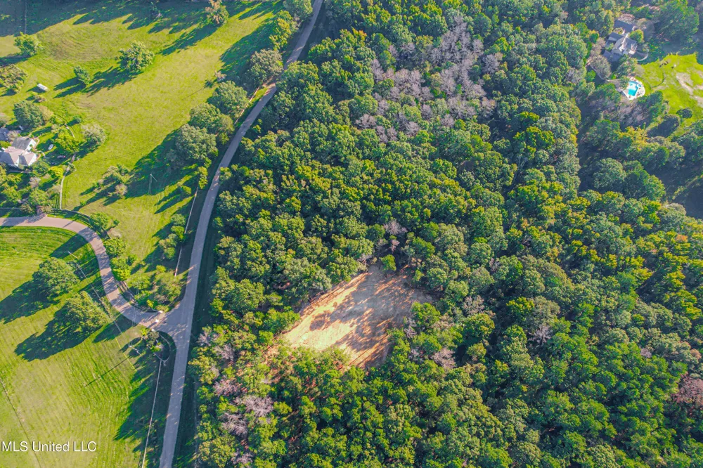 Mount Leopard Road Flora, MS 39071