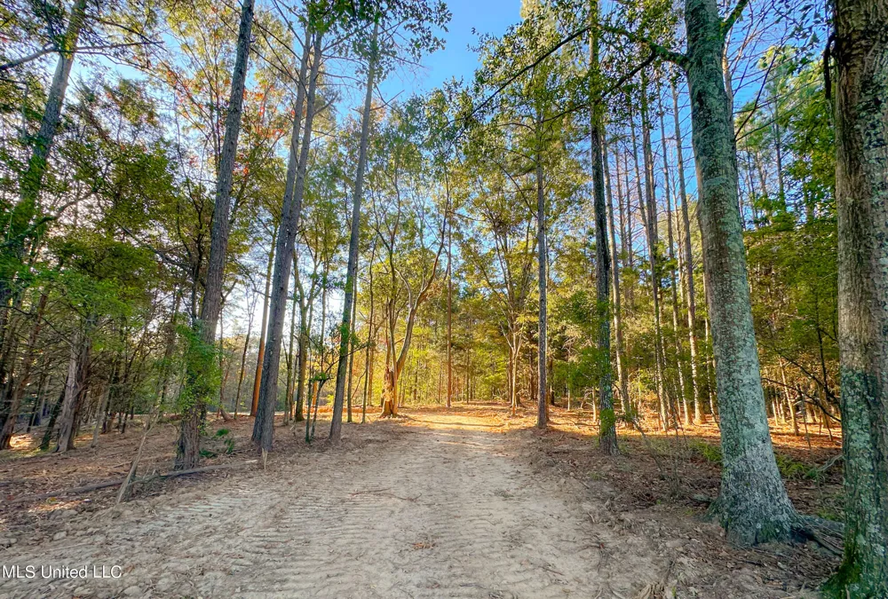 Mount Leopard Road Flora, MS 39071