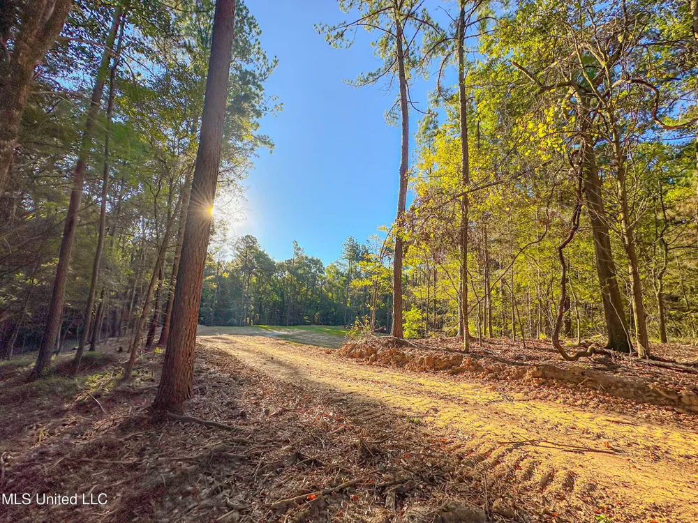 Mount Leopard Road Flora, MS 39071