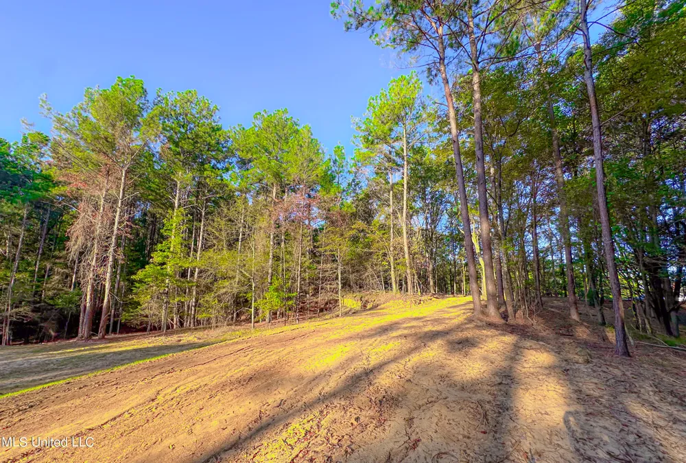 Mount Leopard Road Flora, MS 39071