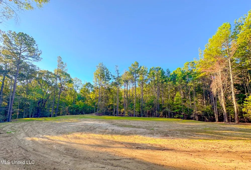 Mount Leopard Road Flora, MS 39071