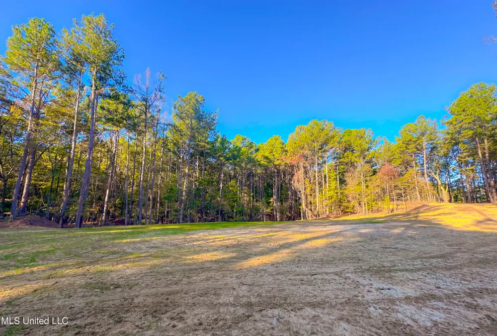 Mount Leopard Road Flora, MS 39071