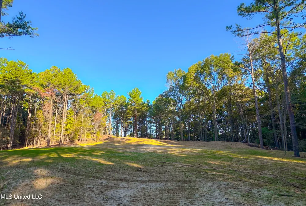 Mount Leopard Road Flora, MS 39071