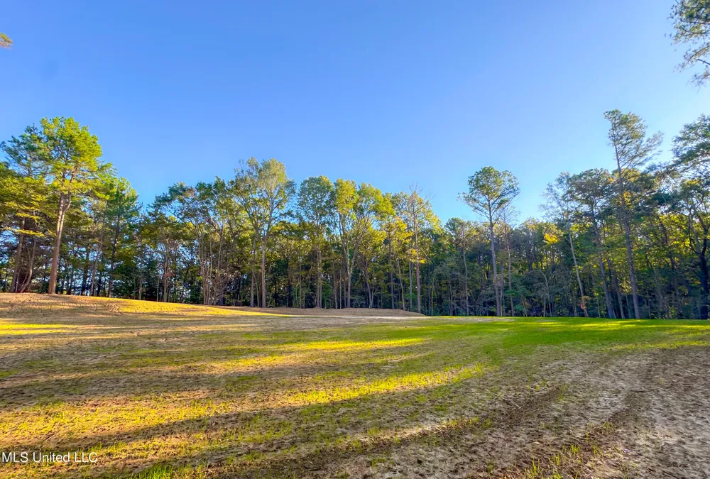 Mount Leopard Road Flora, MS 39071