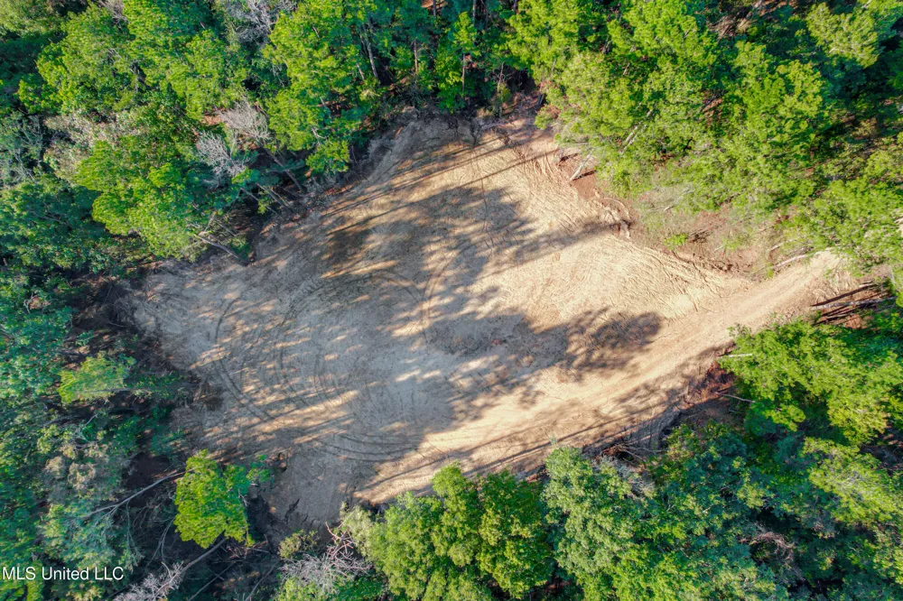 Mount Leopard Road Flora, MS 39071