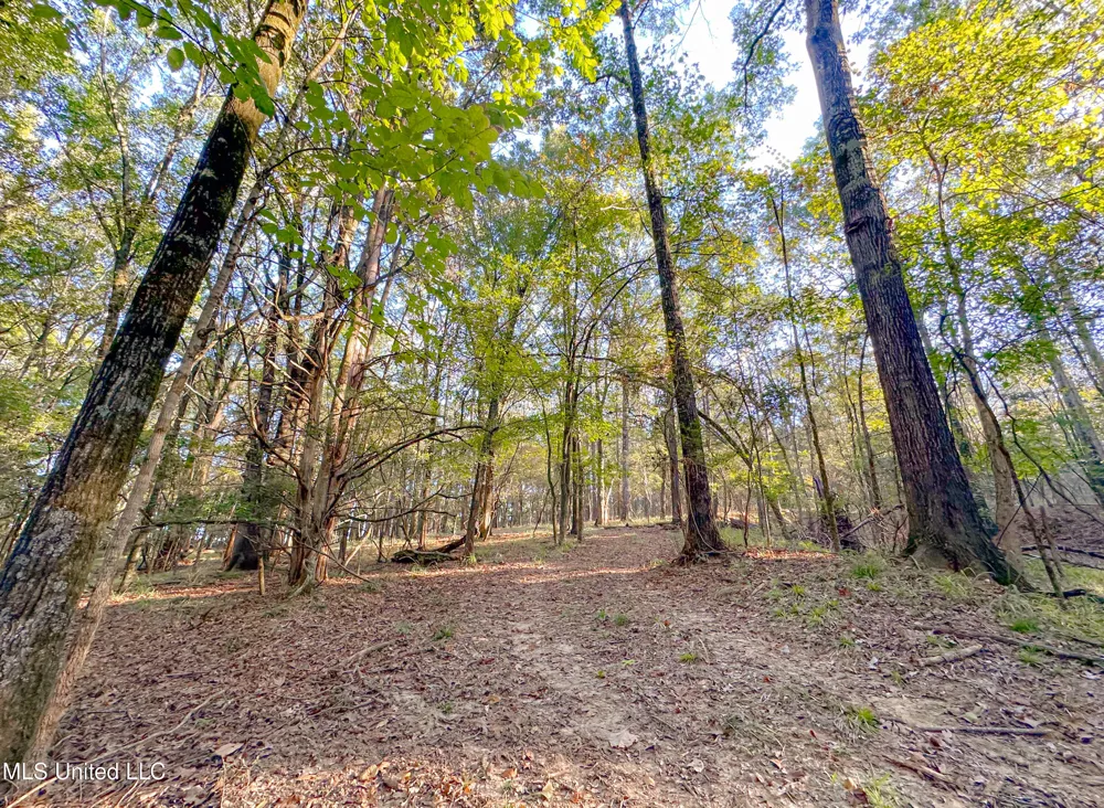 Mount Leopard Road Flora, MS 39071