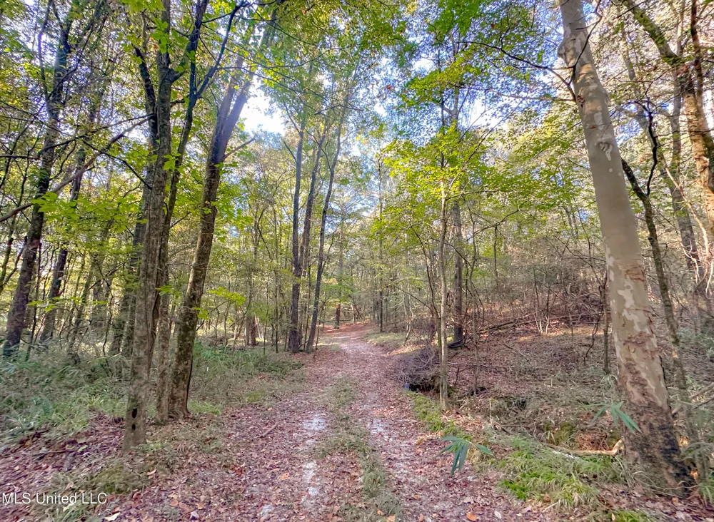 Mount Leopard Road Flora, MS 39071