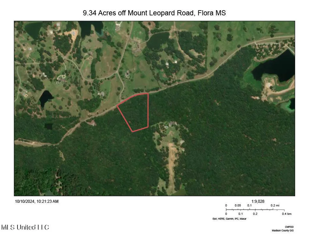 Mount Leopard Road Flora, MS 39071