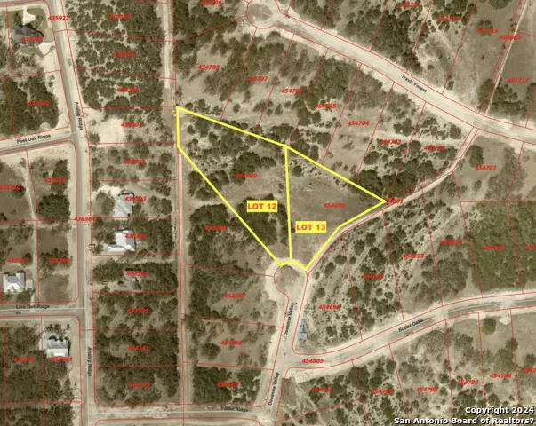 34730 Deeanne Valley Trl Bulverde, TX 78163