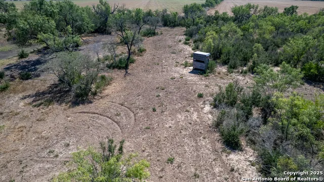 944 FM 1049 Knippa, TX 78870