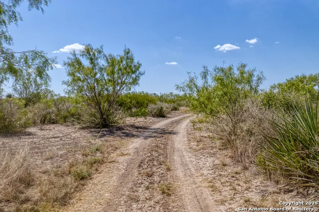 944 FM 1049 Knippa, TX 78870