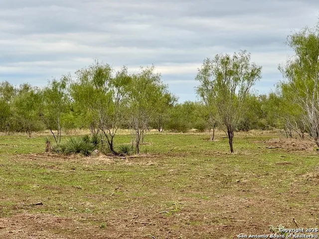 944 FM 1049 Knippa, TX 78870