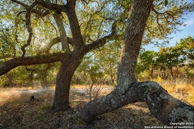 TBD Floyd Van Hoozer Road West Kerrville, TX 78028
