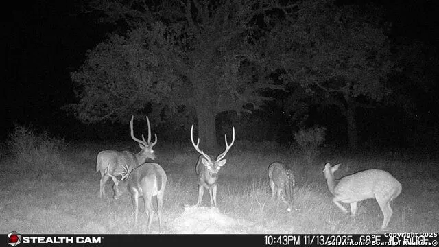 740 Optimist Way Bandera, TX 78003