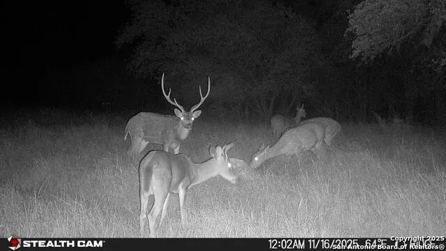 740 Optimist Way Bandera, TX 78003