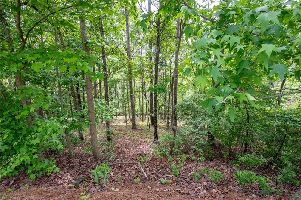 25 Sunset Ridge SE Cartersville, GA 30121