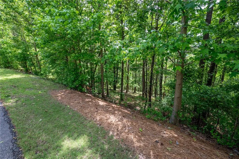 25 Sunset Ridge SE Cartersville, GA 30121