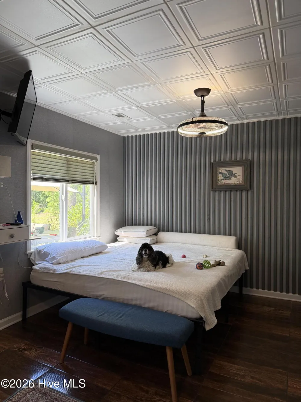 158 Boss Hog Avenue Belhaven, NC 27810