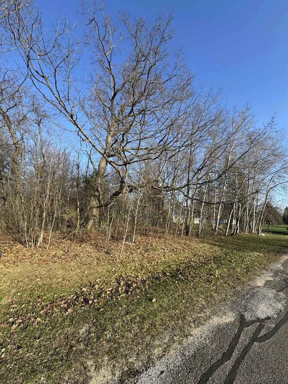 3603 Cecil Road Haring Charter Township, MI 49601