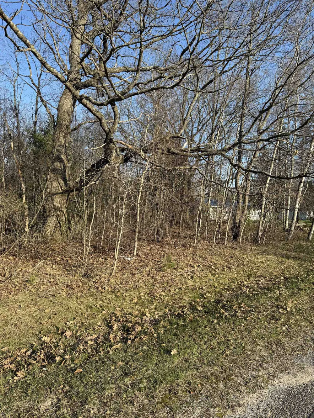 3603 Cecil Road Haring Charter Township, MI 49601