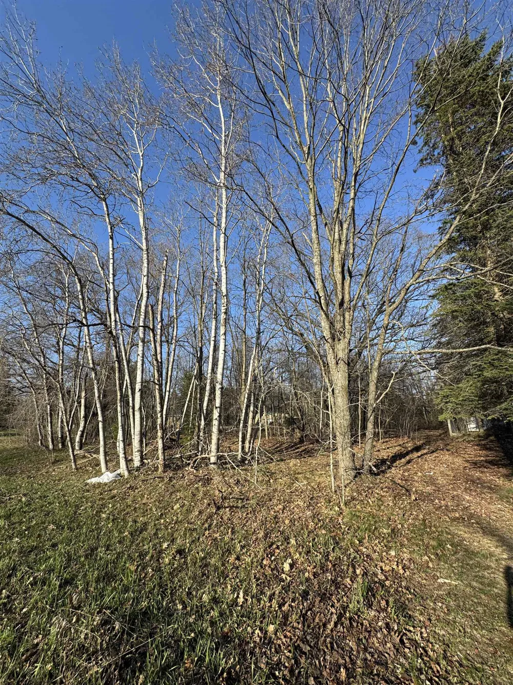 3603 Cecil Road Haring Charter Township, MI 49601