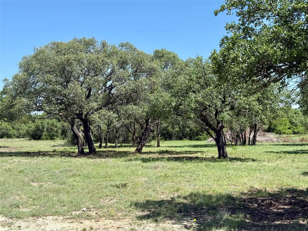 Hwy 67-377 Blanket, TX 76432