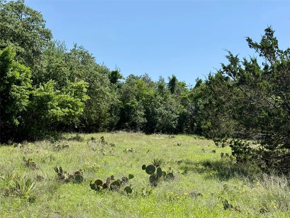 Hwy 67-377 Blanket, TX 76432