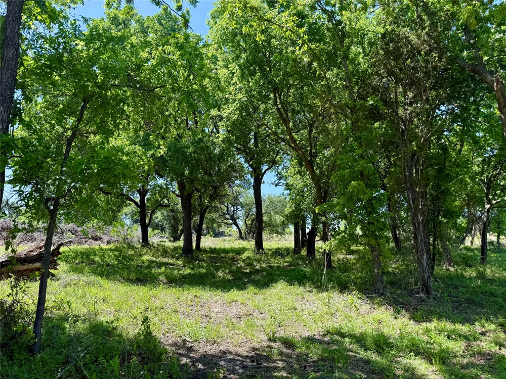 Hwy 67-377 Blanket, TX 76432