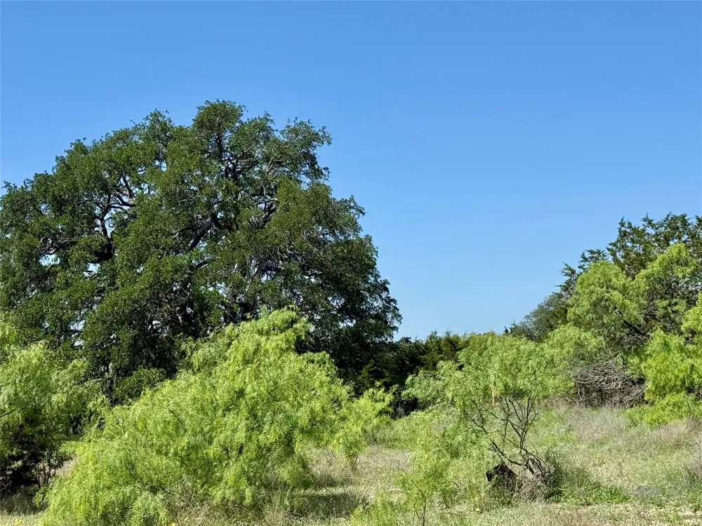 Hwy 67-377 Blanket, TX 76432