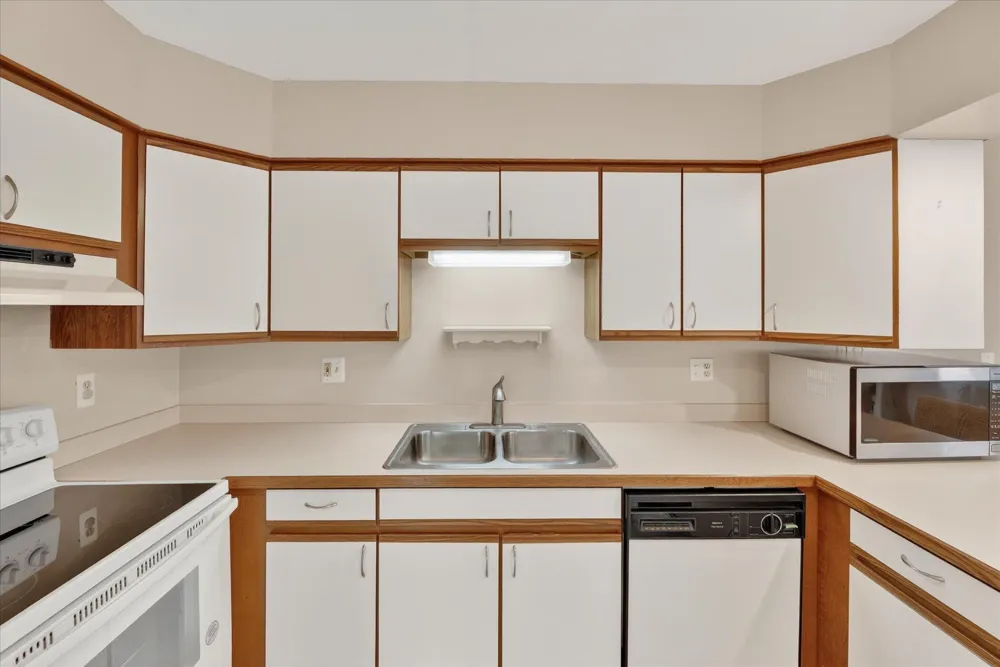385 Hollywood Drive Saline, MI 48176