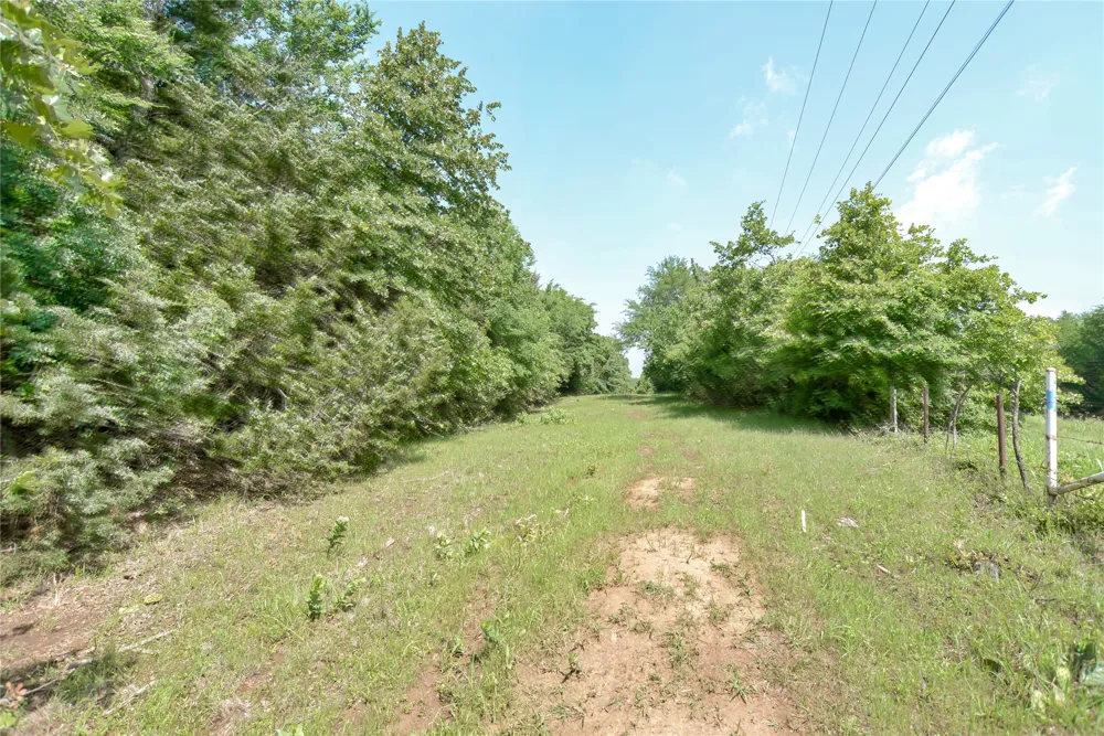 11991 Fm 901 Sadler, TX 76264