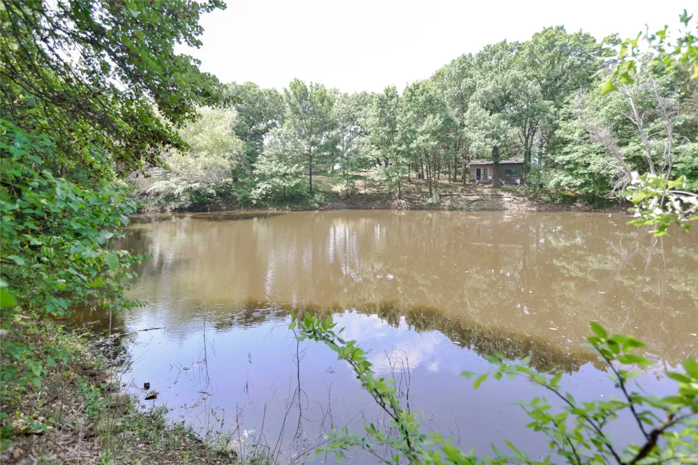 11991 Fm 901 Sadler, TX 76264