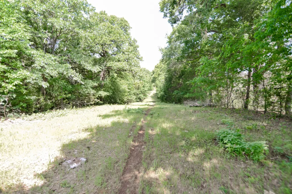 11991 Fm 901 Sadler, TX 76264