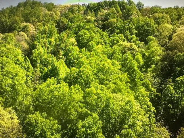 Crackin Chestnut Ln Sylva, NC 28779