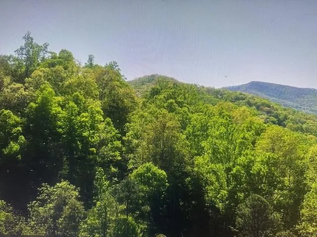 Crackin Chestnut Ln Sylva, NC 28779