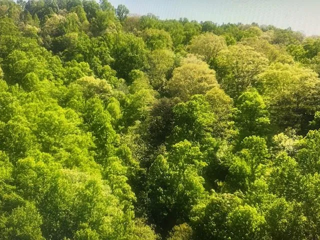 Crackin Chestnut Ln Sylva, NC 28779
