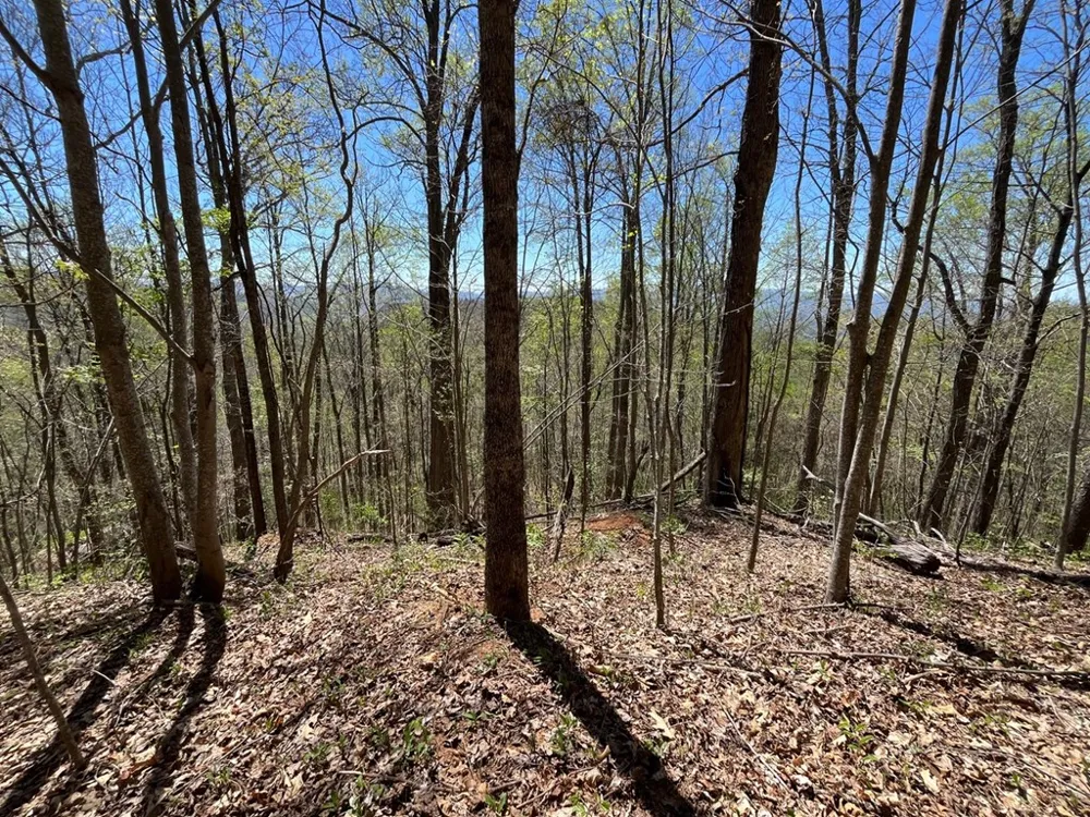 Crackin Chestnut Ln Sylva, NC 28779