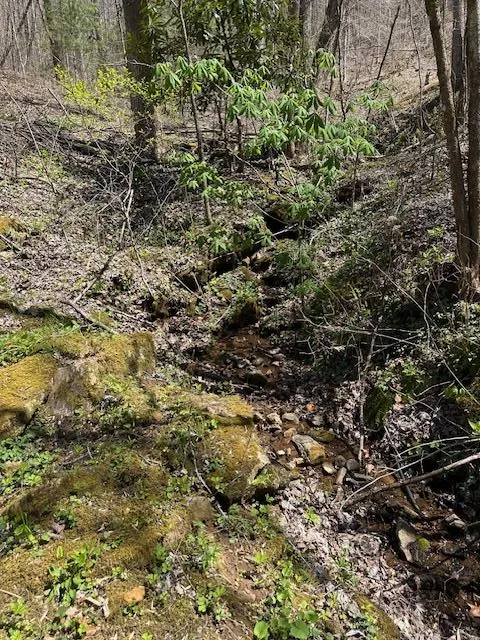 Crackin Chestnut Ln Sylva, NC 28779