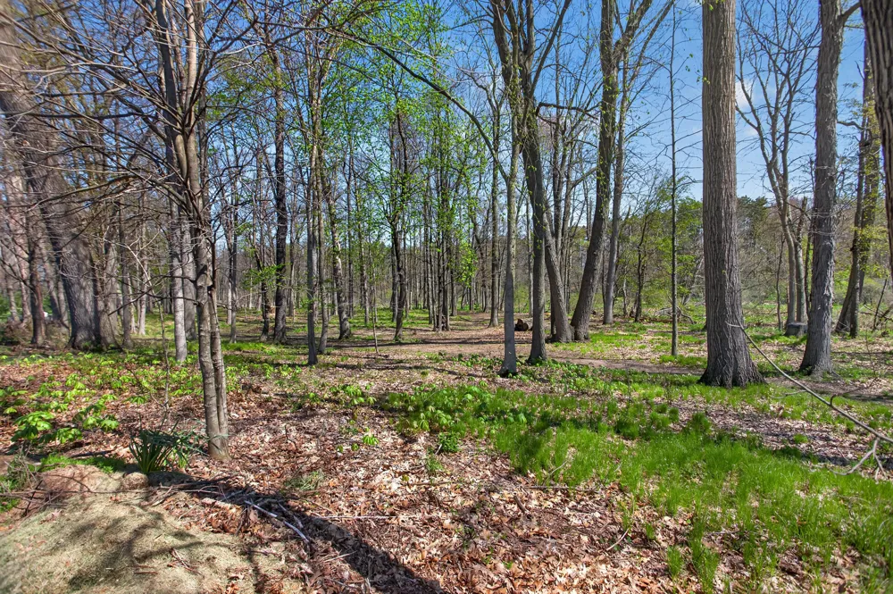 19501 B DRIVE S Eckford Township, MI 49068
