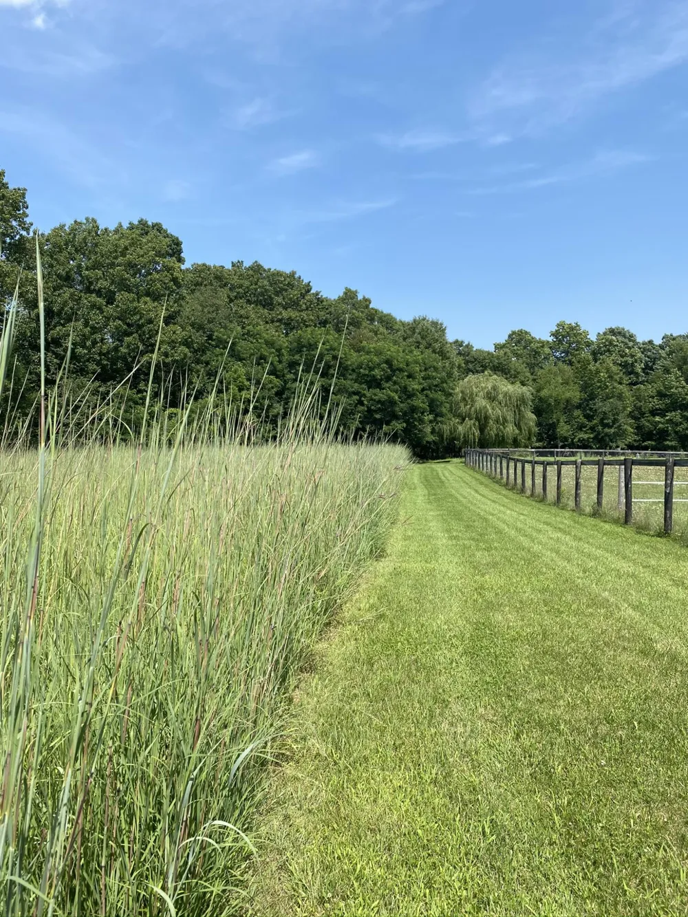 19501 B DRIVE S Eckford Township, MI 49068