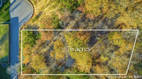 12210 Tobacco Road